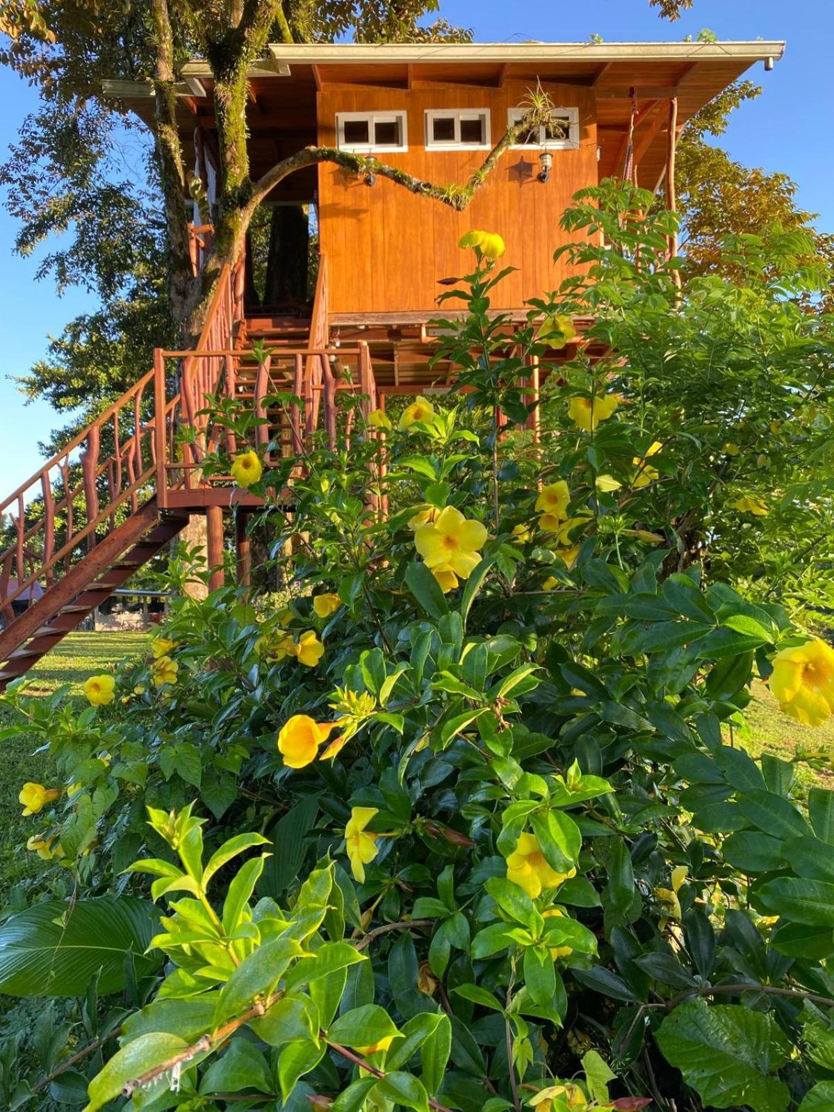 Hilamito Lodge Tela Luaran gambar