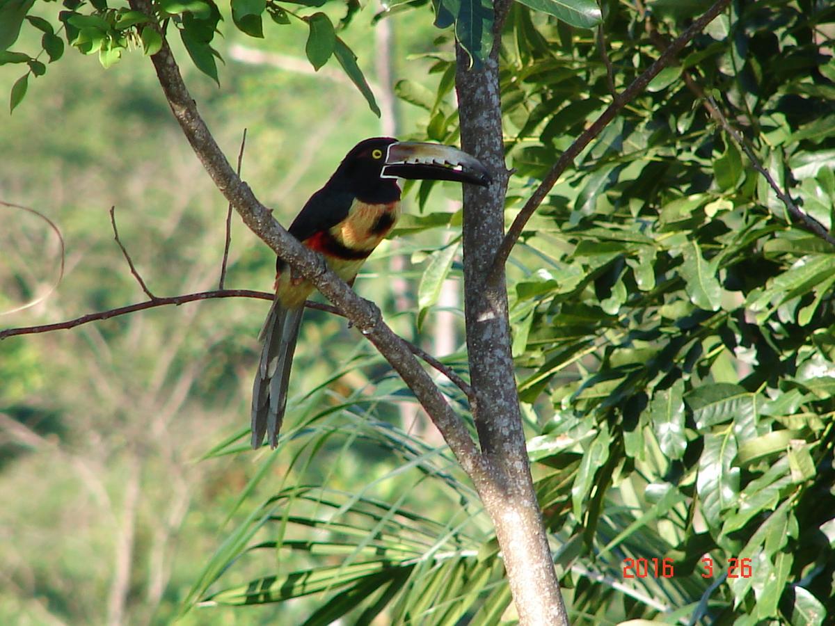 Hilamito Lodge Tela Luaran gambar